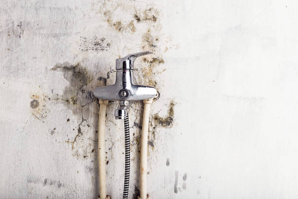  Byesville, OH Mold Removal Pros