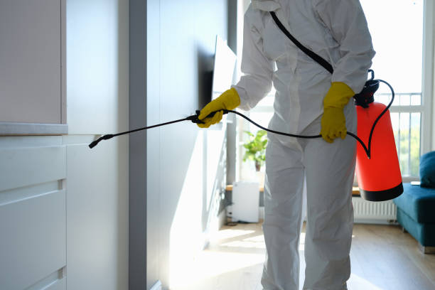 Best Toxic Mold Removal  in Byesville, OH