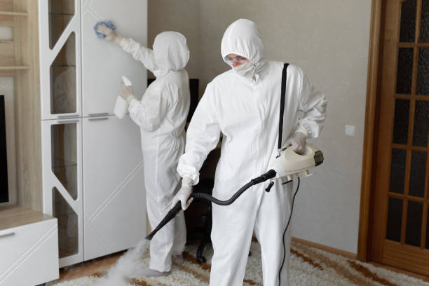 Best Attic Mold Removal  in Byesville, OH