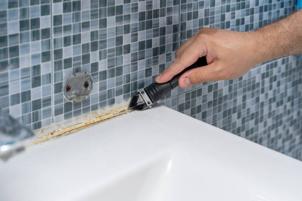 Best Home Mold Removal  in Byesville, OH