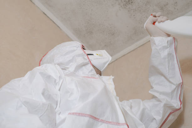 Office Mold Removal Services in Byesville, OH