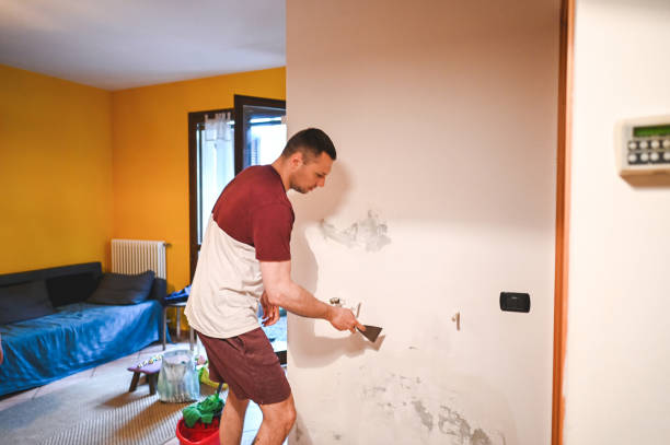 Best Mold Removal Company Near Me  in Byesville, OH
